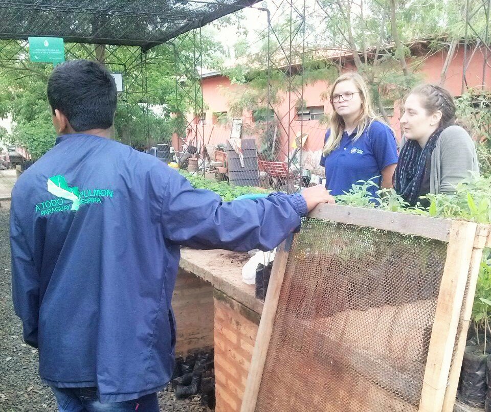 atodopulmonPY's tweet photo. Aspirantes del @CuerpoDePaz visitaron nuestro vivero de Ñu Guasu para conocer nuestro estilo de trabajo. #PCPY #PeaceCorps https://t.co/LcursmMg87