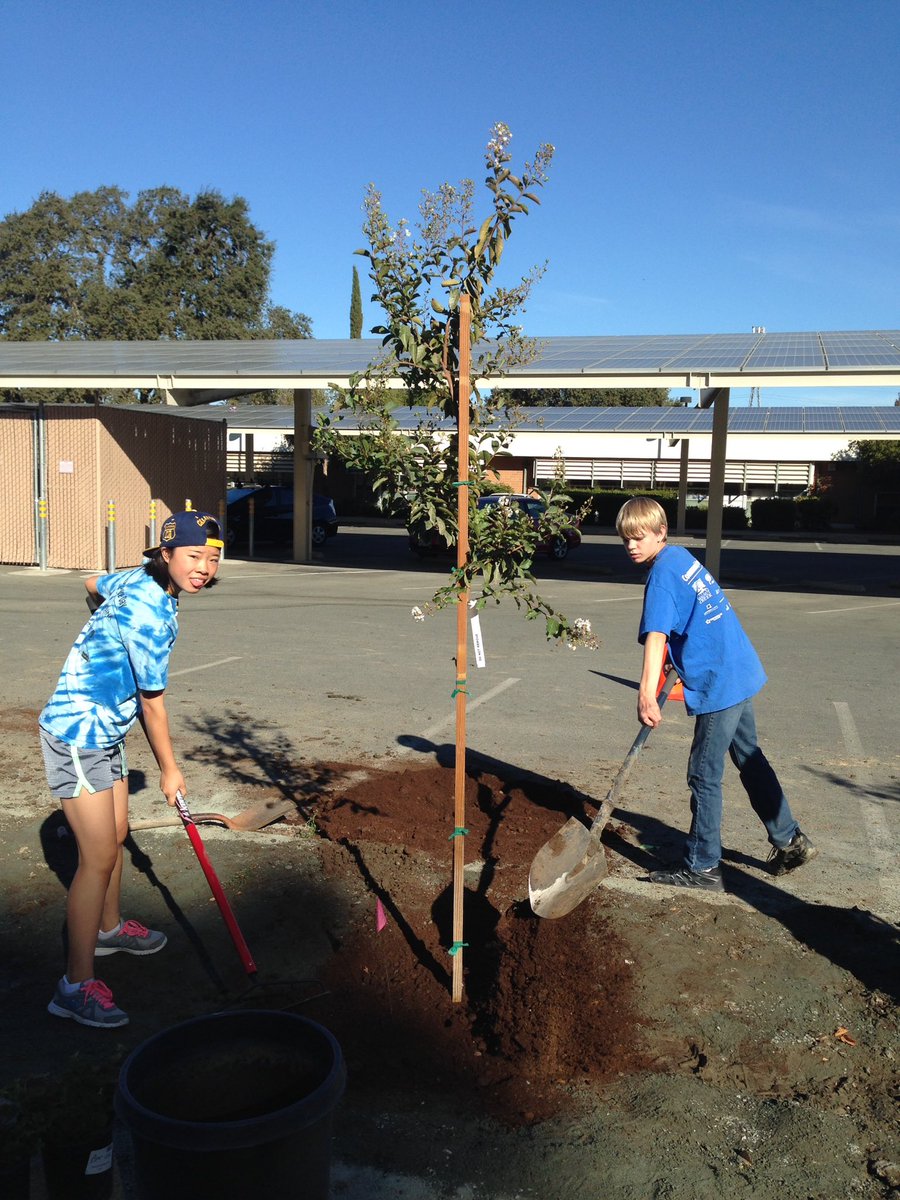FoothillGriffin's tweet photo. First tree planted! #elevenmoretogo https://t.co/XNFVUclBBP
