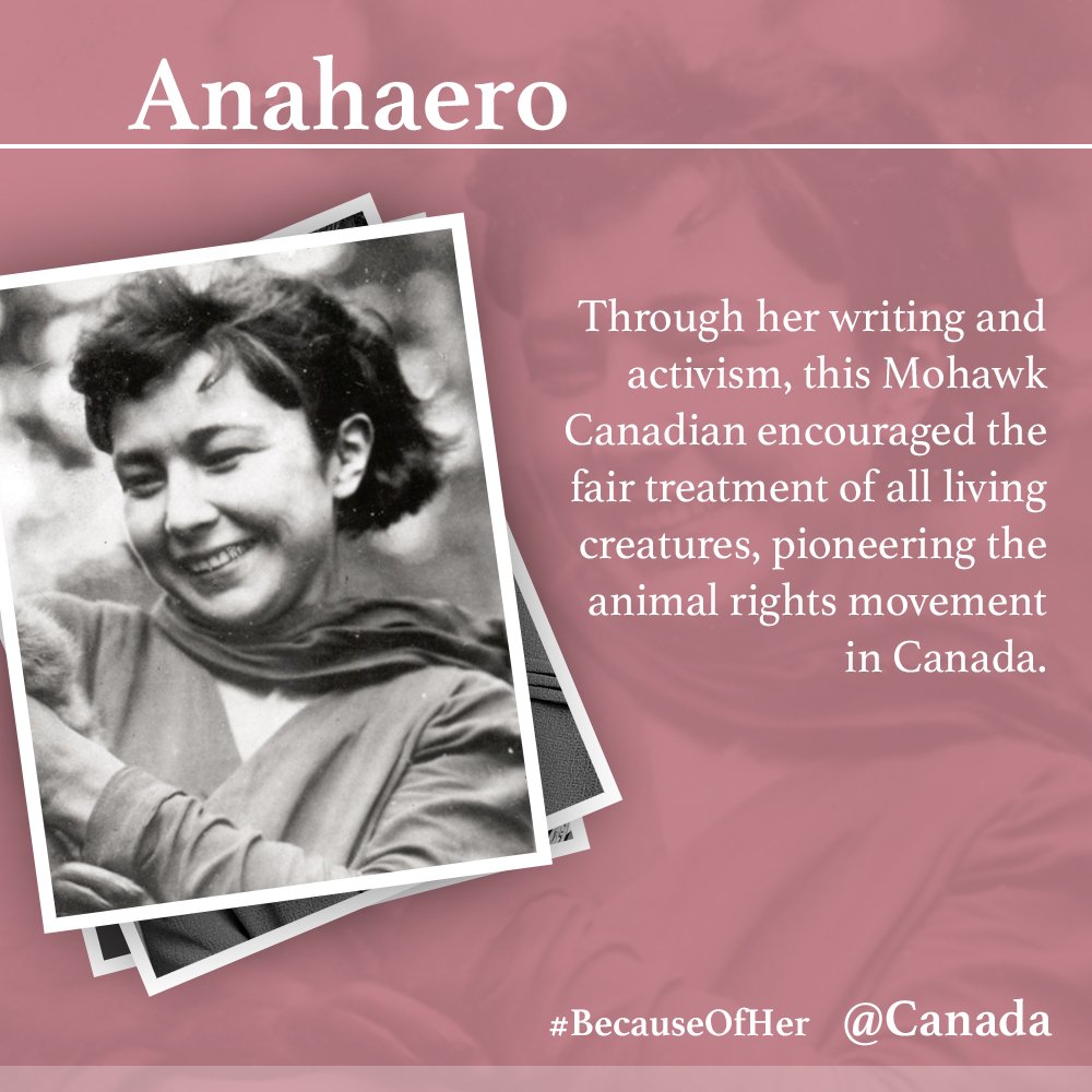 Canada's tweet photo. Resilient, strong and compassionate, Canadian women have fought for those who can't fight for themselves #BecauseOfHer https://t.co/VZB61pKZGU