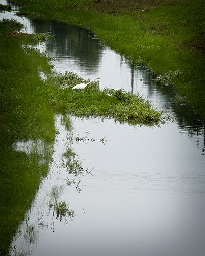 Carleton_LA's tweet photo. Ottawa Stormwater Rates Targets Rurals - https://t.co/RKwsJLn0nw https://t.co/h8aJOTcdW5