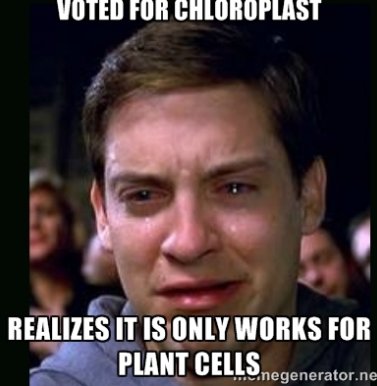 therealVacoule's tweet photo. Vocuole is the BEST option! #organellesFTW #votevacuole https://t.co/fR0A8OU7UO
