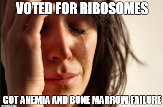 therealVacoule's tweet photo. Vocuole is the BEST option! #organellesFTW #votevacuole https://t.co/fR0A8OU7UO