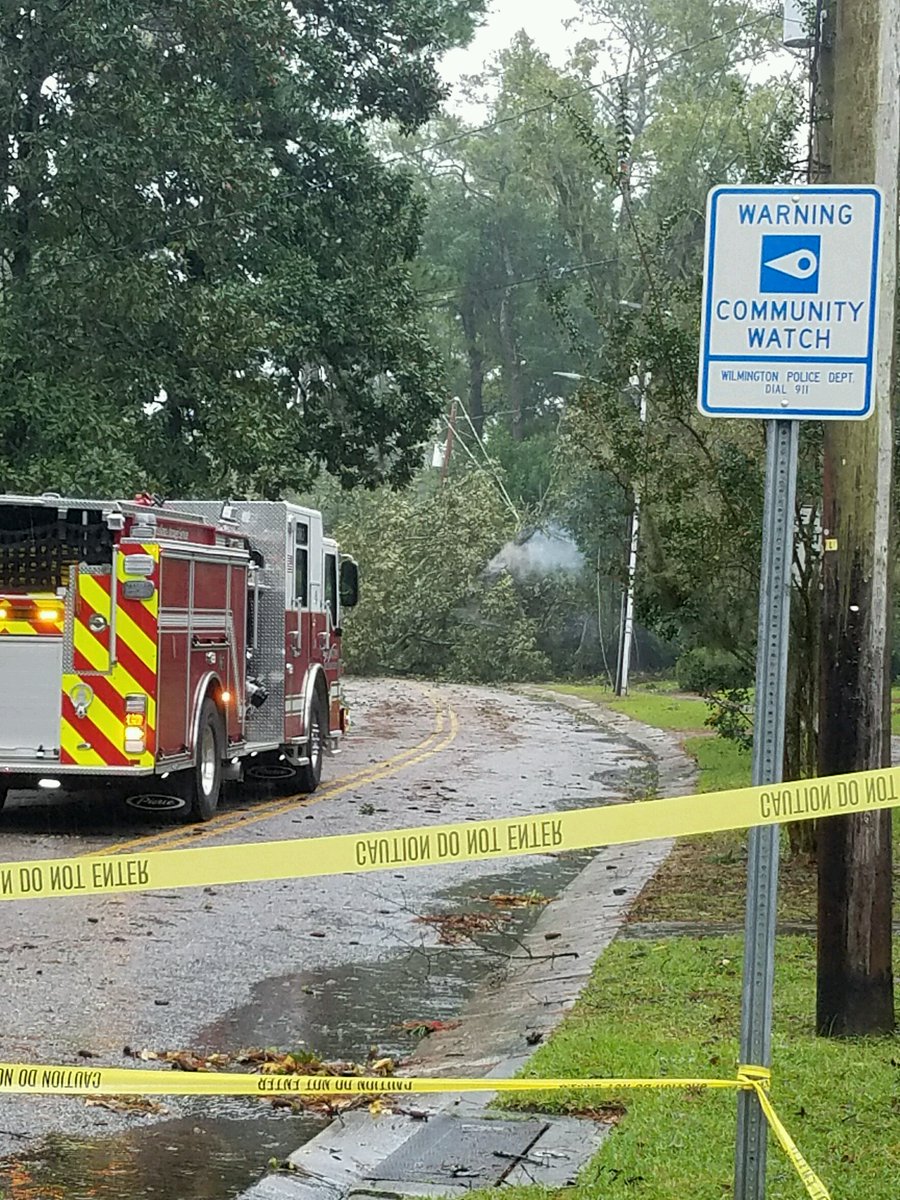 Forest Hills area in wilm nc power line falls on tree smoking, road blocked off.