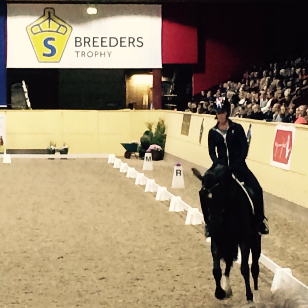 HannaSassner's tweet photo. Fullsatt på Flyinge när Charlotte Dujardin testrider årets 4-åringar #breederstrophy #swbsåklart https://t.co/CSm8flkN0g