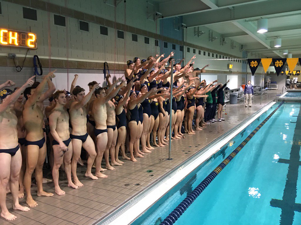 mlitzinger's tweet photo. ....love thee Notre Dame! @NDWSwimdive @NDMensswimdive Great job today! #cantstoptheshamrock #GoIrish https://t.co/a0N2Ik01we
