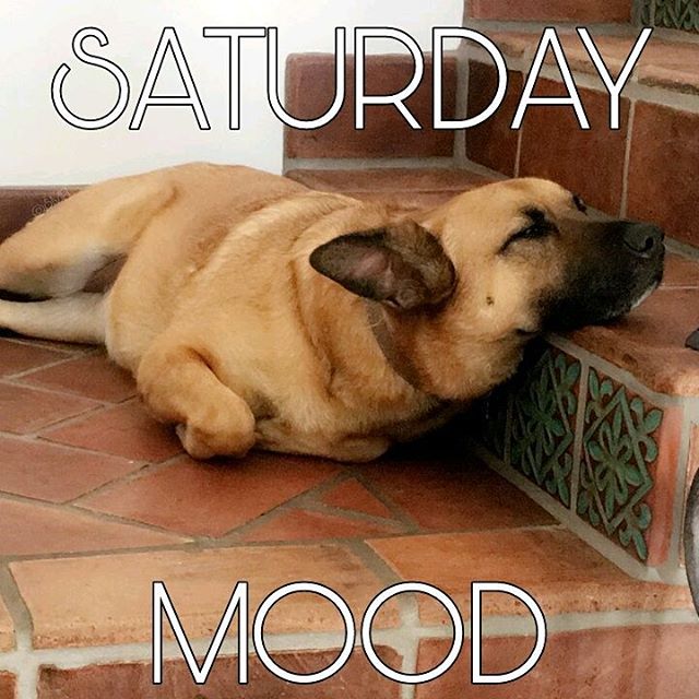 shaymitch's tweet photo. Yupppp. https://t.co/vPT22xguyX