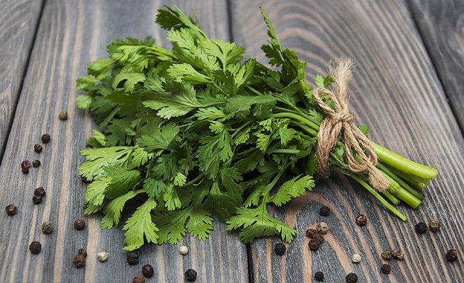 holamexico's tweet photo. Los beneficios del cilantro para la salud https://t.co/ttW3R8n373 https://t.co/tCdwO2Dp9C
