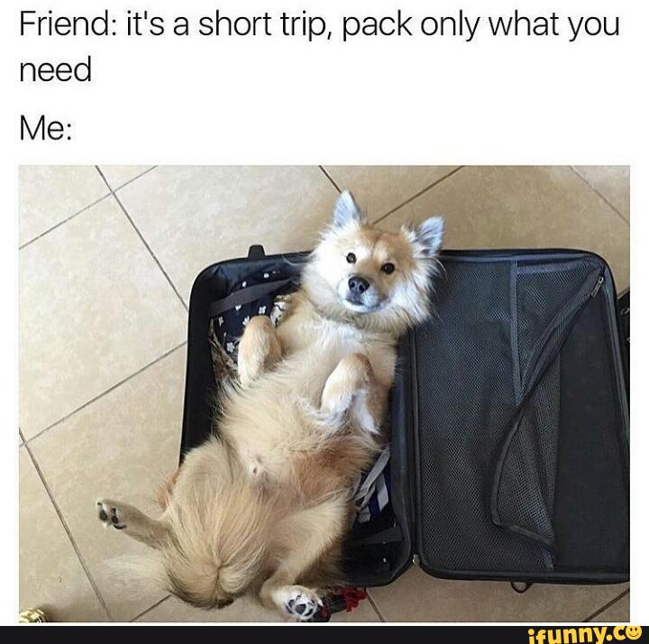 ReviewingDog's tweet photo. https://t.co/2CYyEmpyC2
#iFunny https://t.co/SbuAwaGGCQ