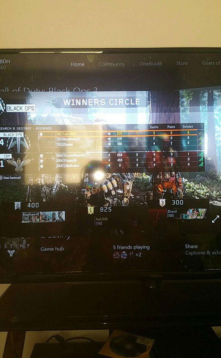 Bear Being Bear tweet media