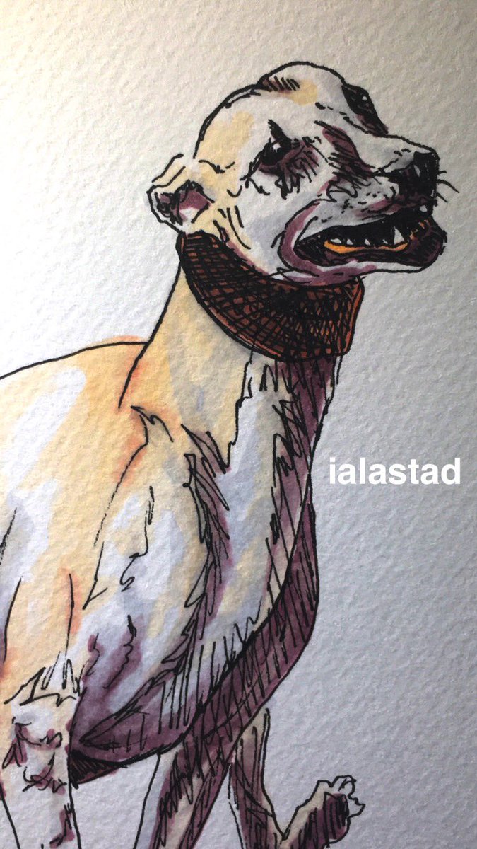 khalidalastad's tweet photo. In love with these #fasties #detailes https://t.co/TE7EZi4J5I