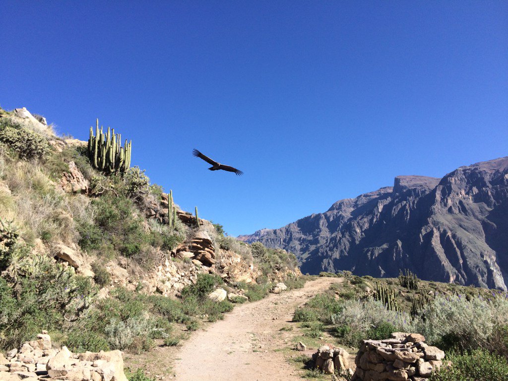 zero353's tweet image. Ain’t no valley deep, ain’t no lake wide enough….. Peru Part 1. adventuresintheether.wordpress.com/2016/10/08/ain…