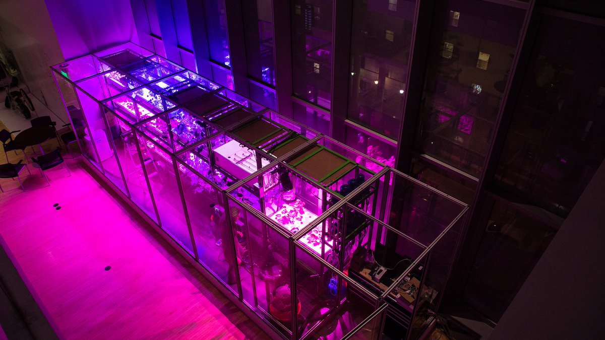 AgFunder's tweet photo. .@Target plans to test an in-store vertical farm as soon as next year https://t.co/oJ9lrXaeLP #indoorag #verticalag https://t.co/3ab6Q02kgW