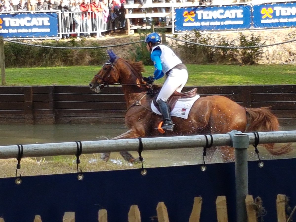 YomeHome1's tweet photo. #military #Boekelo crosscountry. Mooie dag, heerlijk om erbij te zijn. https://t.co/Nu6HXFSRpn