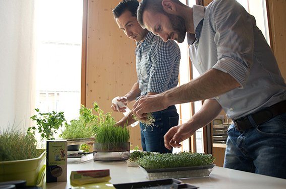 Cell Garden tweet media