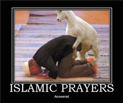 1million4jesus's tweet photo. @QueenKafirBitch @qootalqloob1 @Mr_QTad @1Talking_Stick
#DaeshHunter says #AdDajjฤl comes for #MuslimFilth #KoranIn2Ply https://t.co/4BLAotOIPk