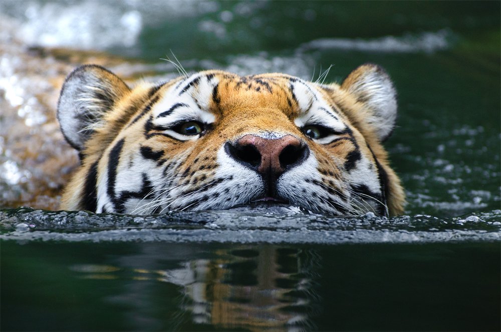 Best Pictures (@ra_bestpictures) on Twitter photo 