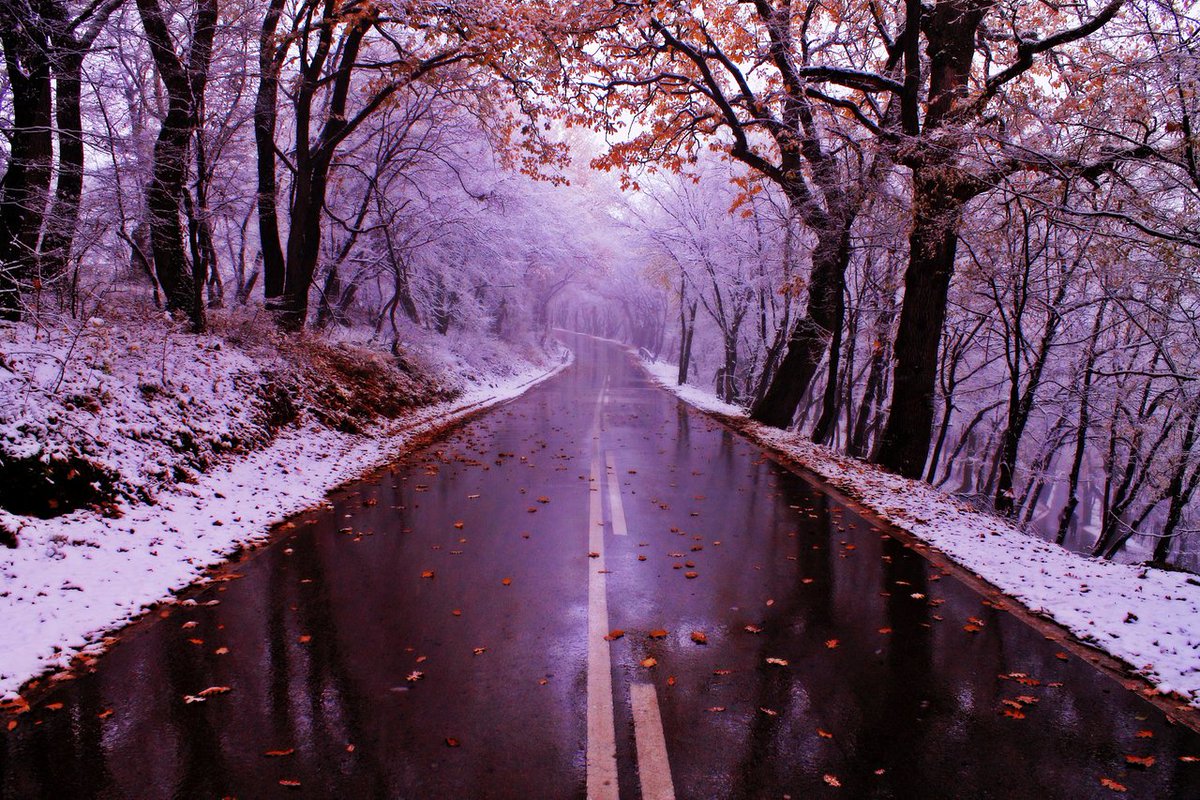 Best Pictures (@ra_bestpictures) on Twitter photo 
