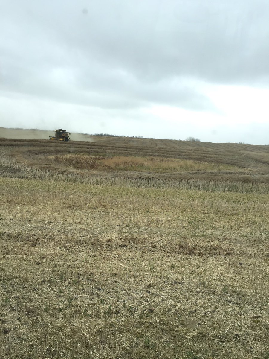 traviswillerton's tweet photo. Happens all the time combine gets trapped by the headlands they left haha #fullhopper https://t.co/KvqL3WIGDq