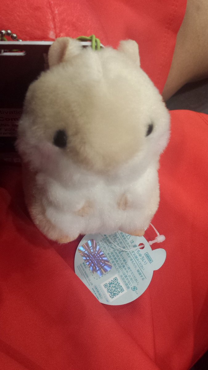 Saturn226's tweet image. My new rubber duck is a hamster. Yes. I went to comic con and came back with a hamster plush. #codeBuddy