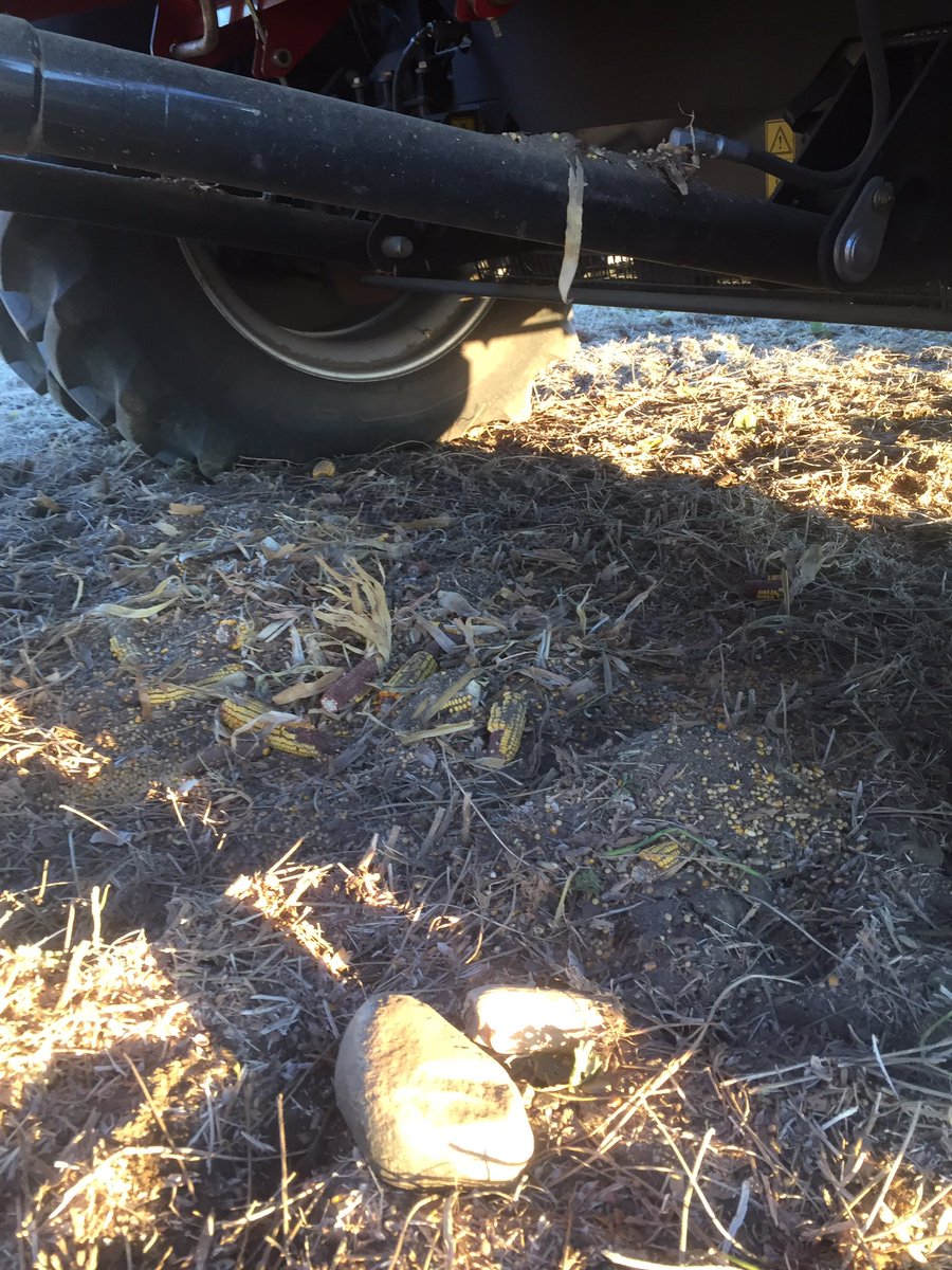 ag_guy04's tweet photo. Thank goodness for Rock Traps. They, like politicians require cleaning regularly. #cleanemout @JoshSchick3 https://t.co/Hli0BSGXLt