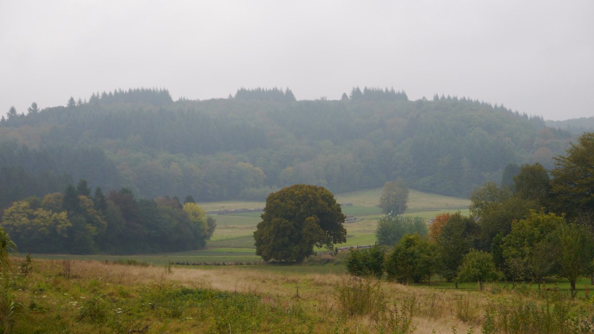 ForestConcepts's tweet photo. Indian summer in the Ardennes #getoutwiththekids #Ardennes #walking #belgian #Semois #GR #fall https://t.co/CJ7RfIIJZr