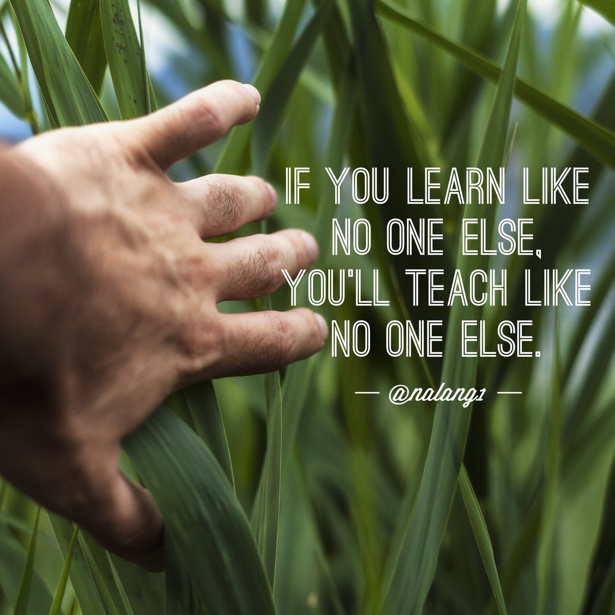 drlangraad's tweet image. Awesome teachers are so because they're out of the box learners. #divergED #edchat #education #teaching #satchat