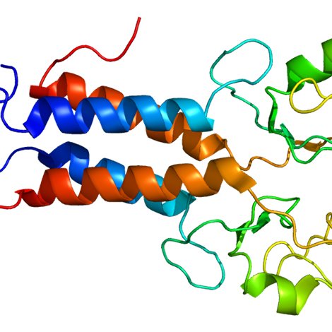 #Breastcancer protection afforded by oophorectomy differs in BRCA1, BRCA2 carriers. wb.md/2dKzVRL
