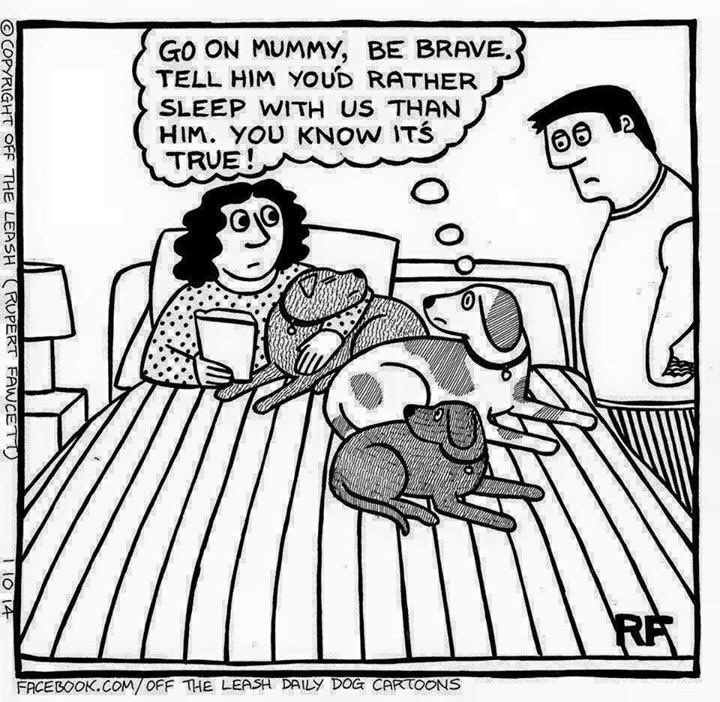 Love your beagle this much? We can personalise ceramics - ideal keepsakes &amp; gifts