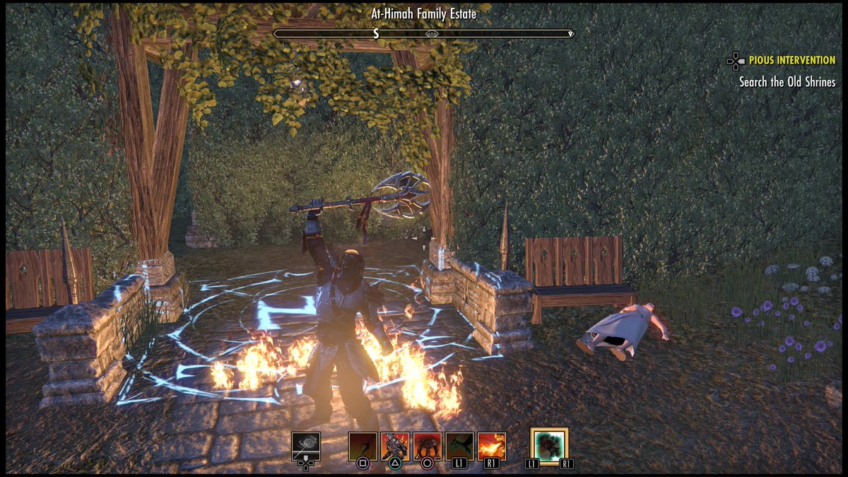 {[ Don't put Syrix in a hedge maze. He might burn it down. ]}