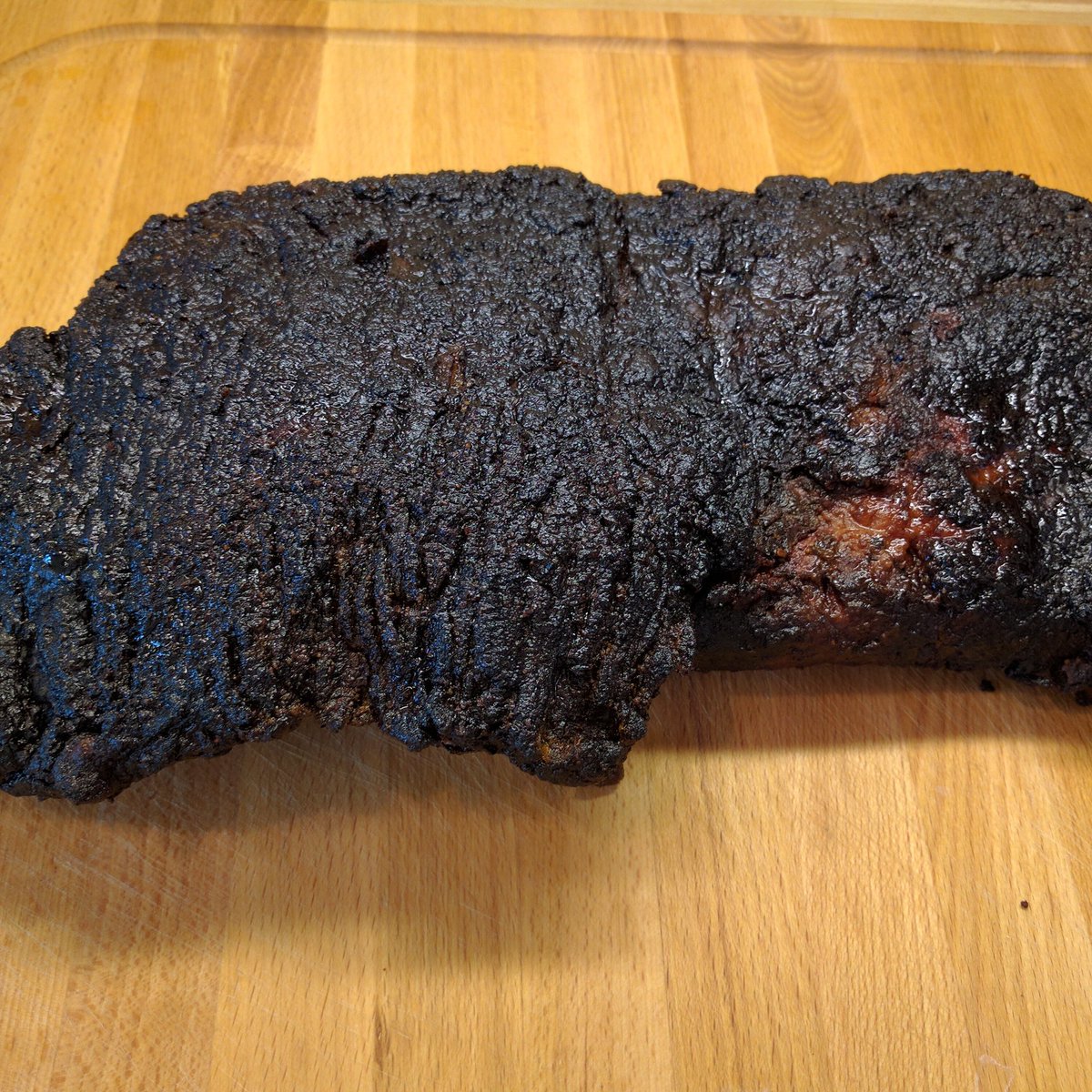 Decent bark this time around.