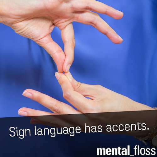 mental_floss's tweet image. 