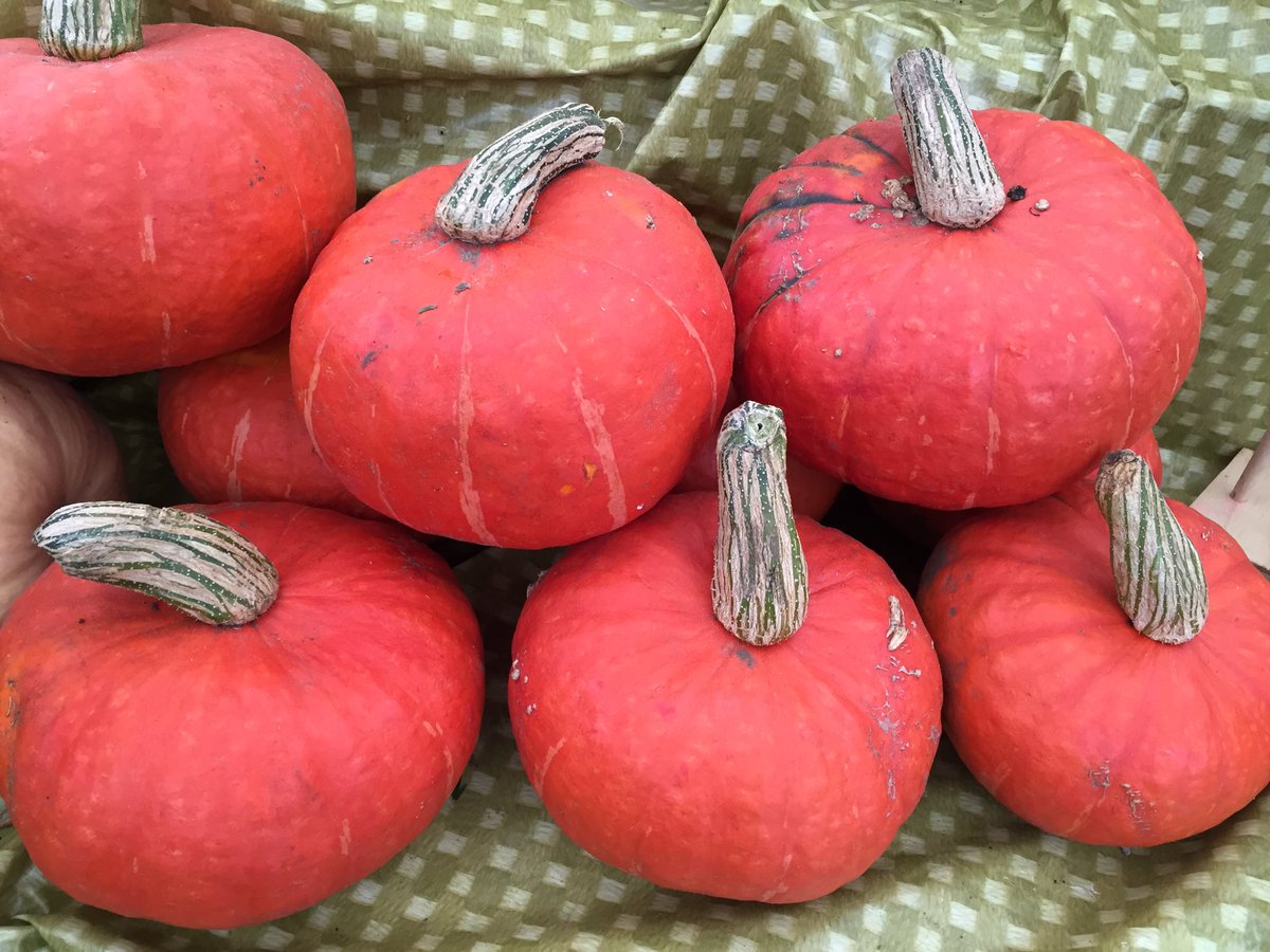 tempus_fugit_L's tweet photo. #farmers market @CollingwoodBIA #successful2016 @curriesfarmmrkt @simcoecountyEDO @EnvironmentNetw https://t.co/eRNzHYJ3D0