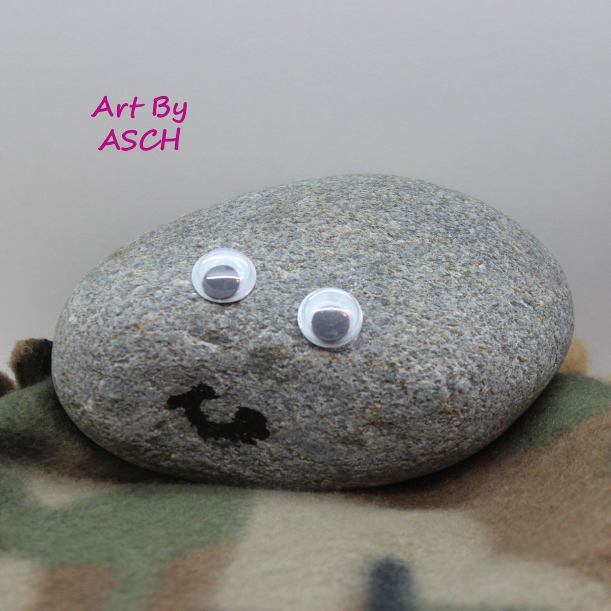 CraftsByRAJA's tweet photo. Pet rock Big Ted https://t.co/RlmvQRYzpD #craftshout #gifts #kids #office #jokes #funny #humor #christmas #pets https://t.co/DOvk838aJV