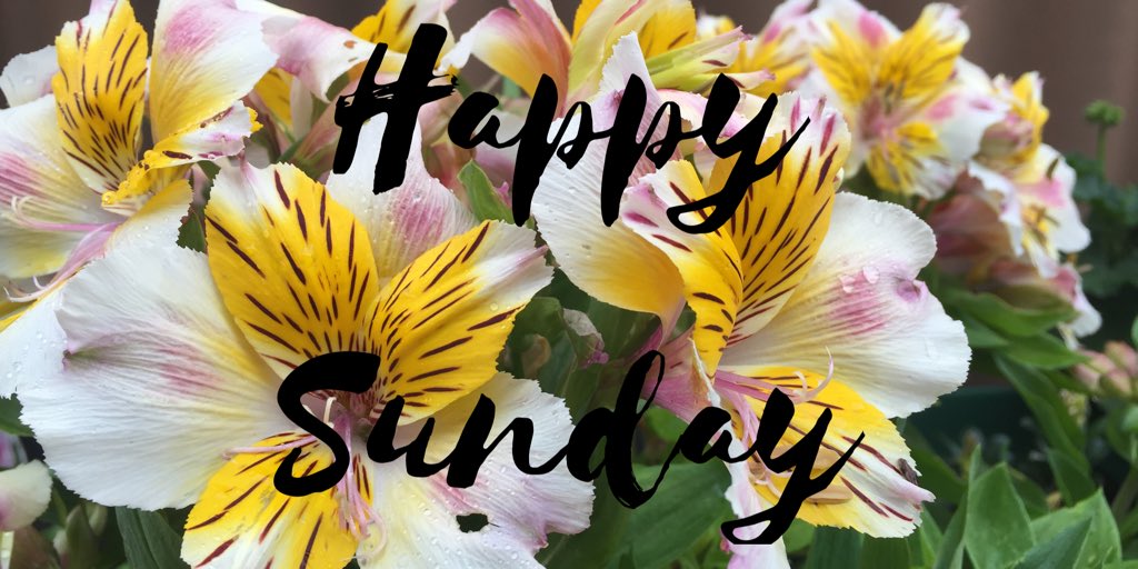 perthtribe's tweet image. Good morning #Perth