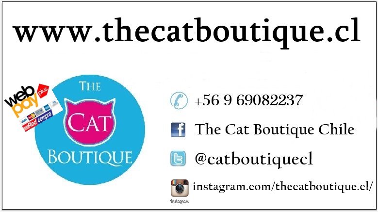 thecatboutique.cl tweet media
