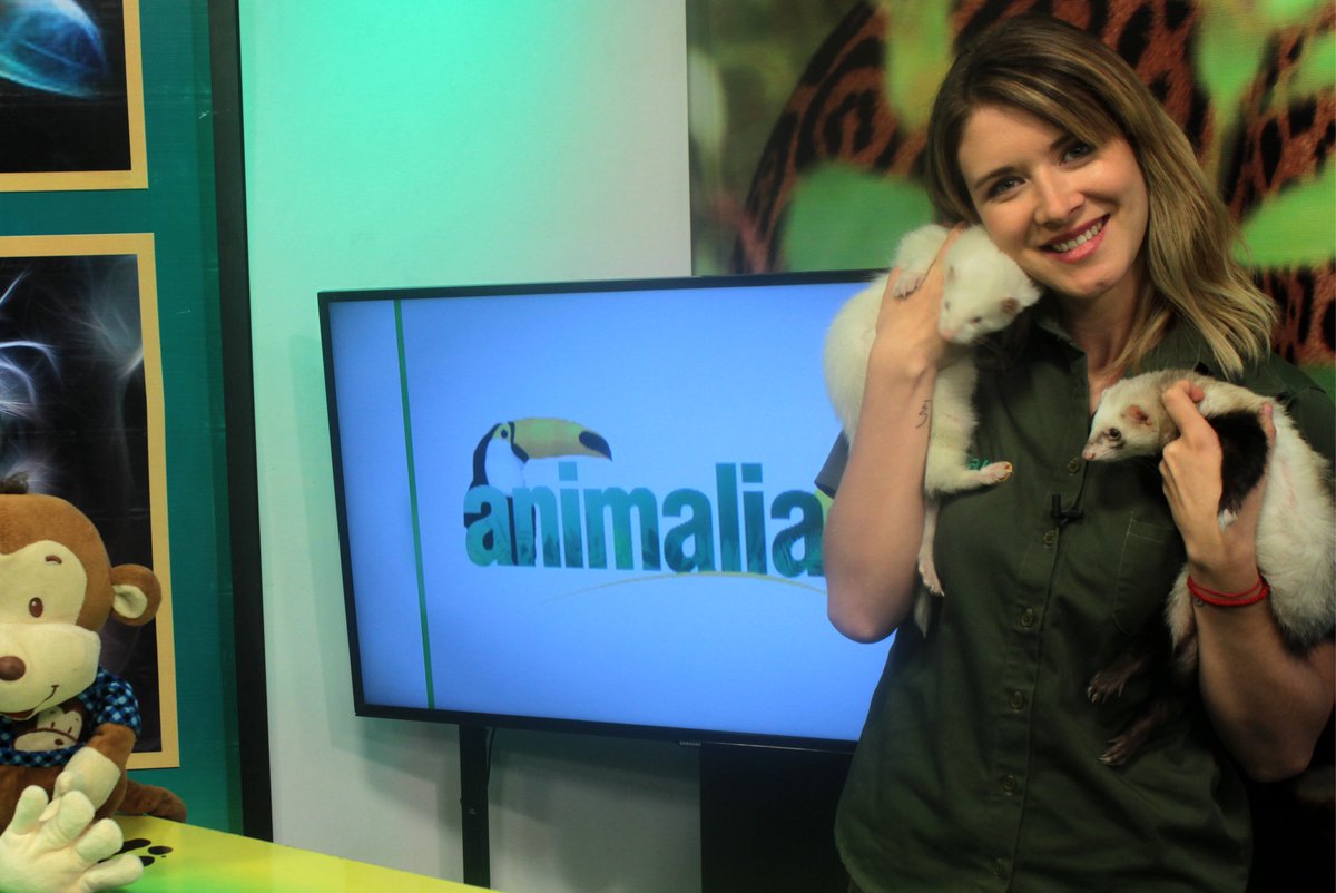 tvanimalia's tweet photo. ¡YA ESTÁ POR EMPEZAR!
NO TE LO PIERDAS... UCV👈 https://t.co/Ibo0OP2J9Z