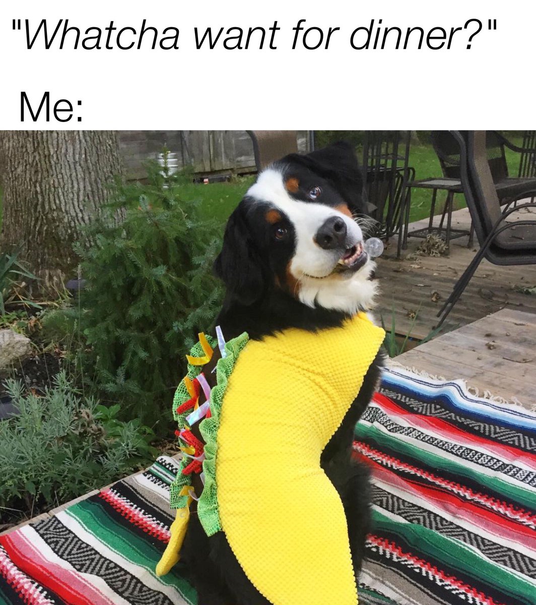 TexasHumor's tweet image. When you drop subtle hints about dinner.