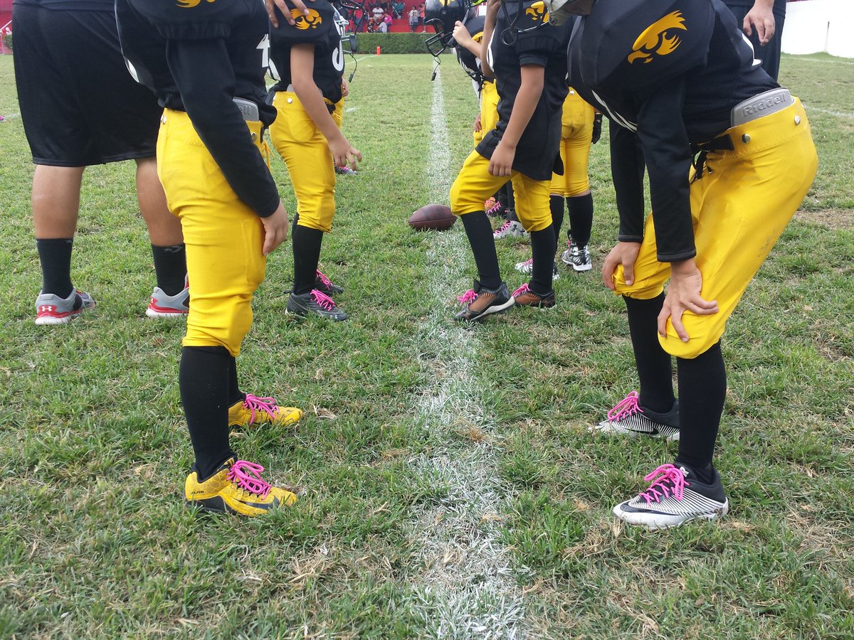 artmendez's tweet photo. My youth football team kids join and play for #BreastCancerAwareness. Los niños vs #CancerDeMama  #ClubHalcones #Mosquitos2016  @mflmx https://t.co/Tdw84yz7xe