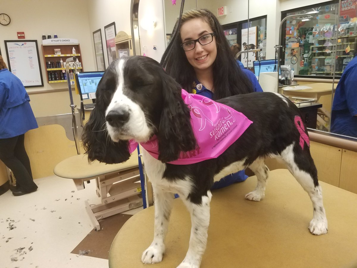 Petsmart1167 tweet media