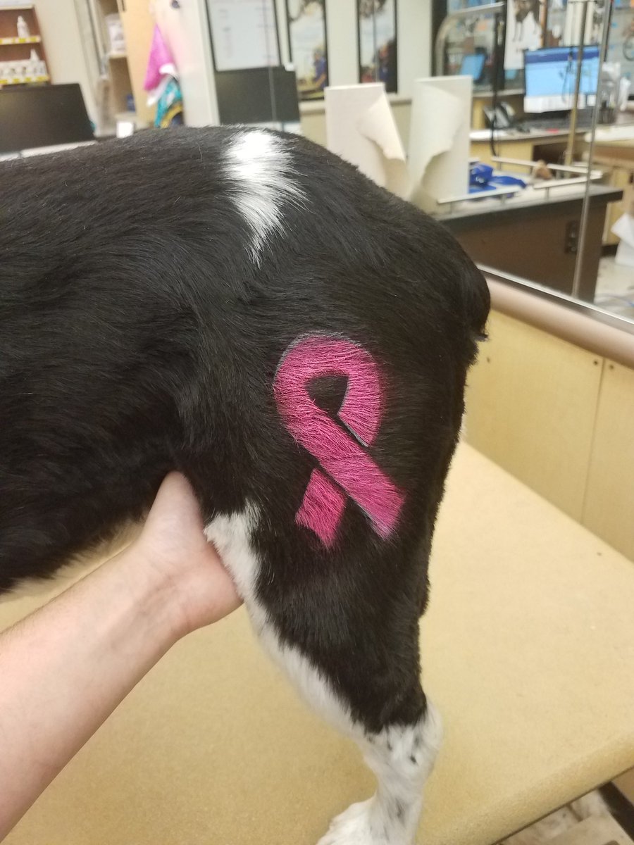 Petsmart1167 tweet media