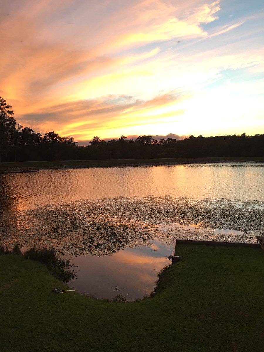 calypsoschronic's tweet photo. No filter needed on these gorgeous sunsets in Huntsville, #AdventureChels https://t.co/VlptdLSwZu