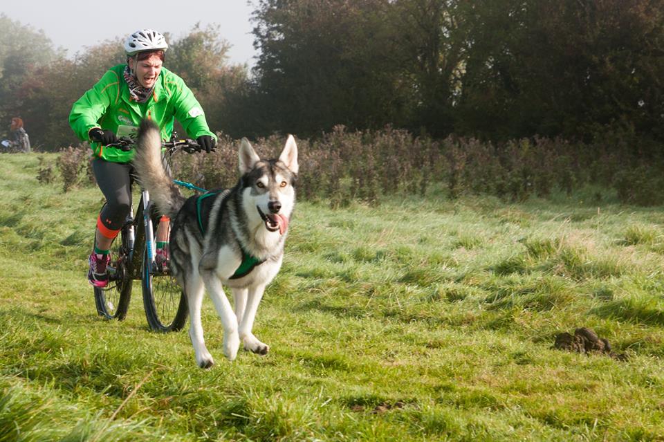 Lou &amp; Dyson from Team <a href="/CanicrossIre/">Canicross Ireland</a> at the event last Sunday in Bike Park Ireland #pulllikeadog #canicrossireland