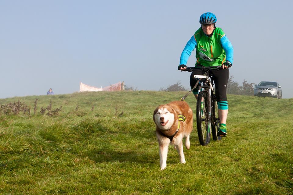Karen &amp; Rooney from Team <a href="/CanicrossIre/">Canicross Ireland</a> at #bikesandbarks last Sunday in Bike Park Ireland #pulllikeadog #canicrossireland