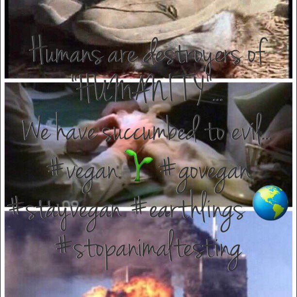 SheillaGaillard's tweet photo. Humans are destroyers of "HUMANITY"... We have succumbed to evil... #vegan 🌱#govegan #stayvegan #Sheilla #Humanity #hate #evil #earthlings 🌎 https://t.co/7khVelEVJ6
