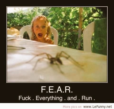 MusicalTeam's tweet image. Hahahha F.E.A.R😂😂😁😁