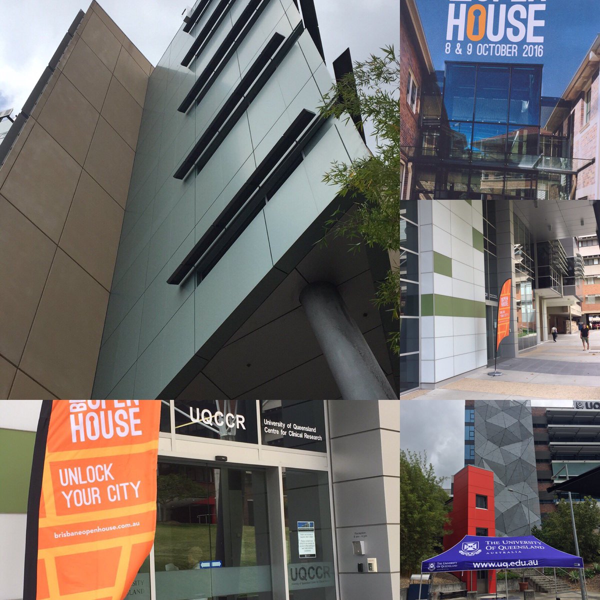 Lisa Dingwall tweet media