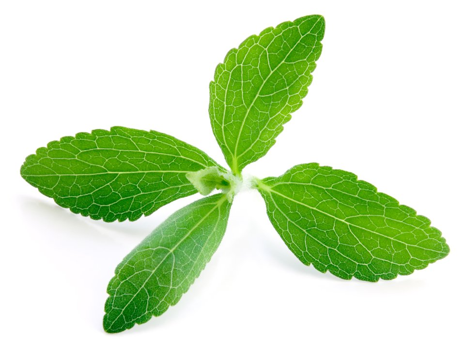 pattyscaffe's tweet photo. #NutriMind La stevia es una planta originaria de Sudamérica. Pertenece a la familia de los girasoles y sus hojas son dulces. https://t.co/V6i09jBfoQ