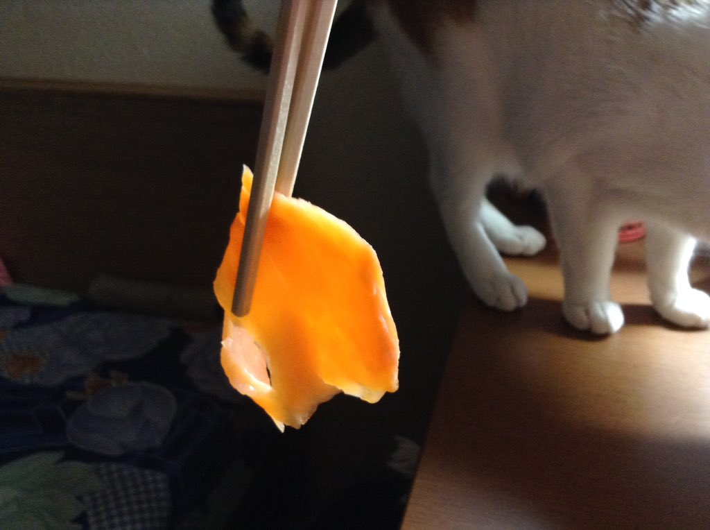 anhthatlong641's tweet photo. デカッ！！！！ https://t.co/k4IdkZ5BV5