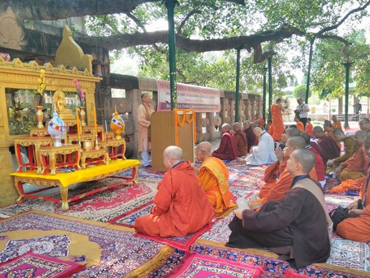 manateluguguru's tweet photo. Monks meditating under the Bodhi tree #BuddhistConclave2016 #BlissfulBihar https://t.co/dRwDyUqMIR https://t.co/c8AV3PH9Ij