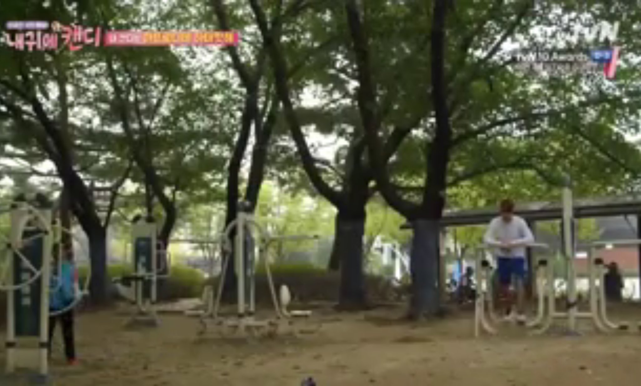 オリンピック公園 Twitter Search Twitter